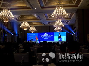 首屆中國西部公共采購大會在蓉舉行，聚焦會議及展覽服務(wù)新機遇