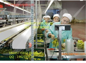 供應(yīng)食品白色耐油1.2mmpu輸送帶,供應(yīng)食品白色耐油1.2mmpu輸送帶生產(chǎn)廠家,供應(yīng)食品白色耐油1.2mmpu輸送帶價(jià)格