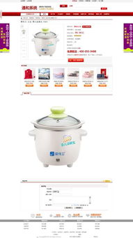 專業(yè)開發(fā)大型B2C與C2C電子商務(wù)系統(tǒng)及ERP系統(tǒng) 構(gòu)建企業(yè)數(shù)字化轉(zhuǎn)型的堅實基座